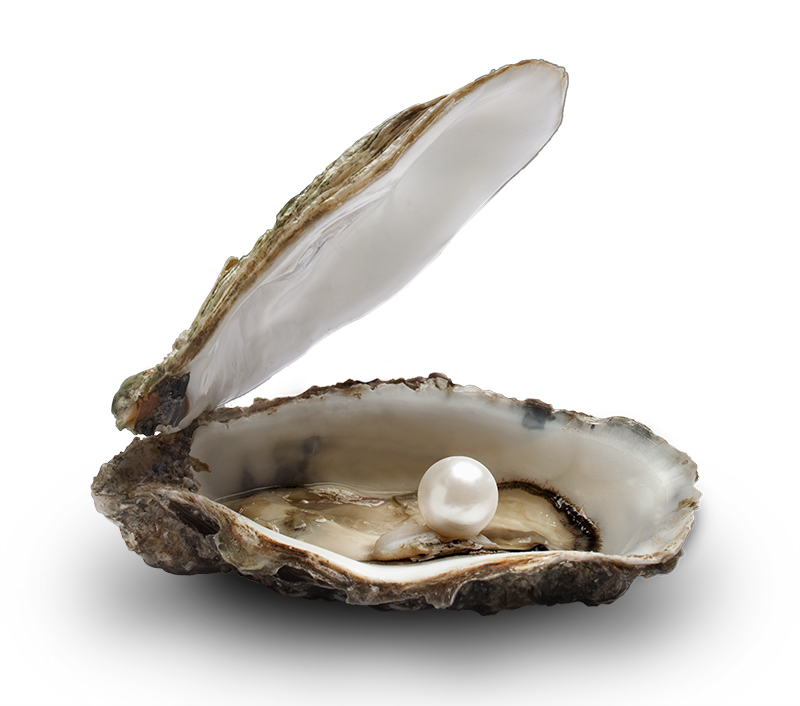 mussla, pärla, stilleben, produktfoto